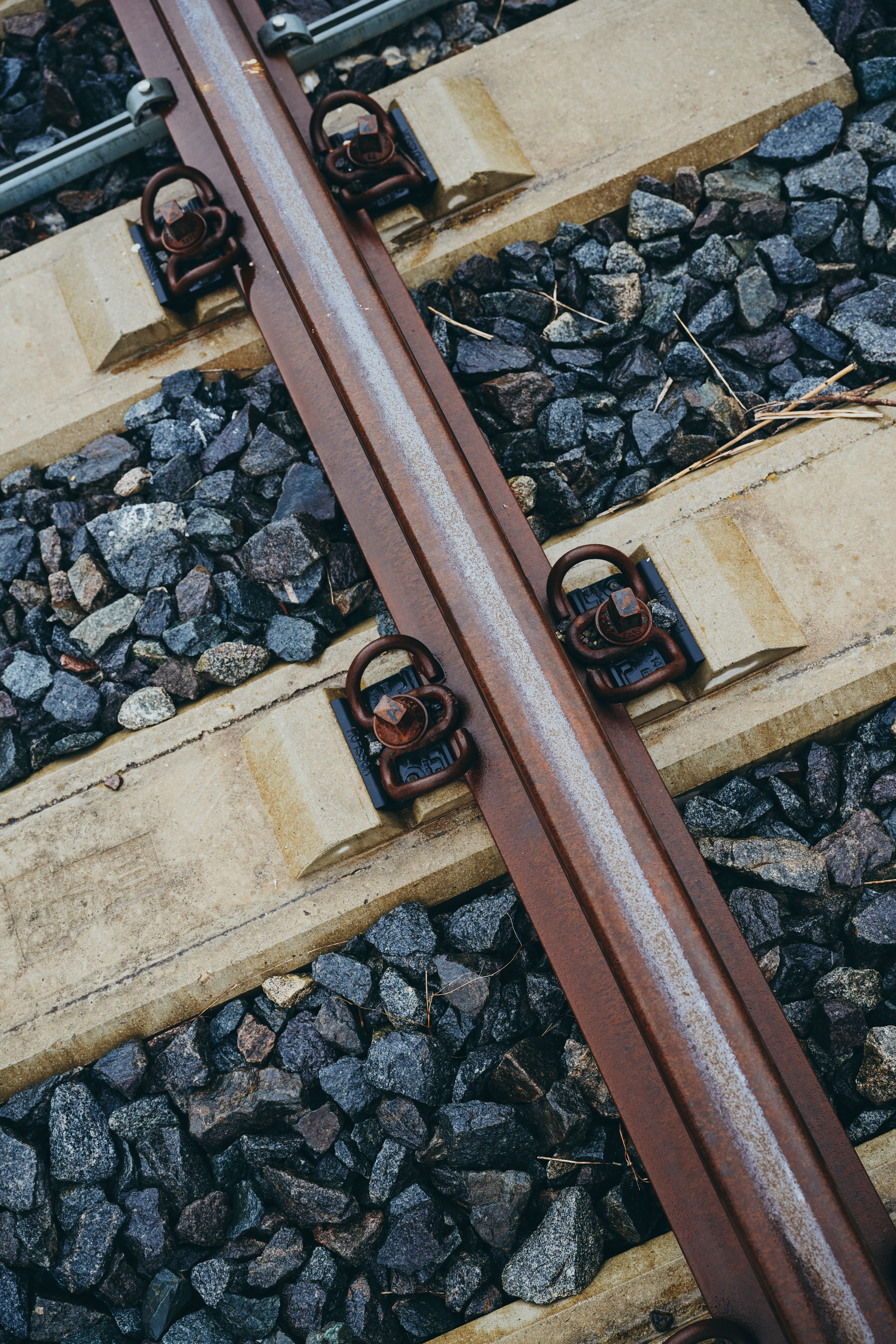 250708-moll-rail-z9f2521-copyrightlarafreiburger